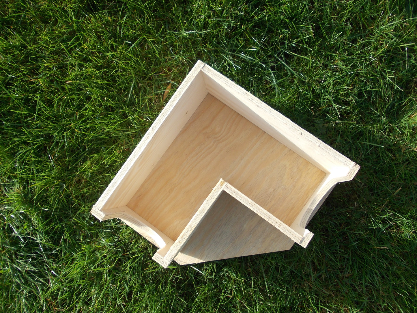 Guinea Pig Hide.