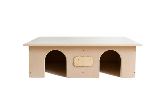 Guinea Pig House Double Storey