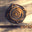 Wooden World logo
