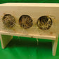 Rabbit Hay Rack.