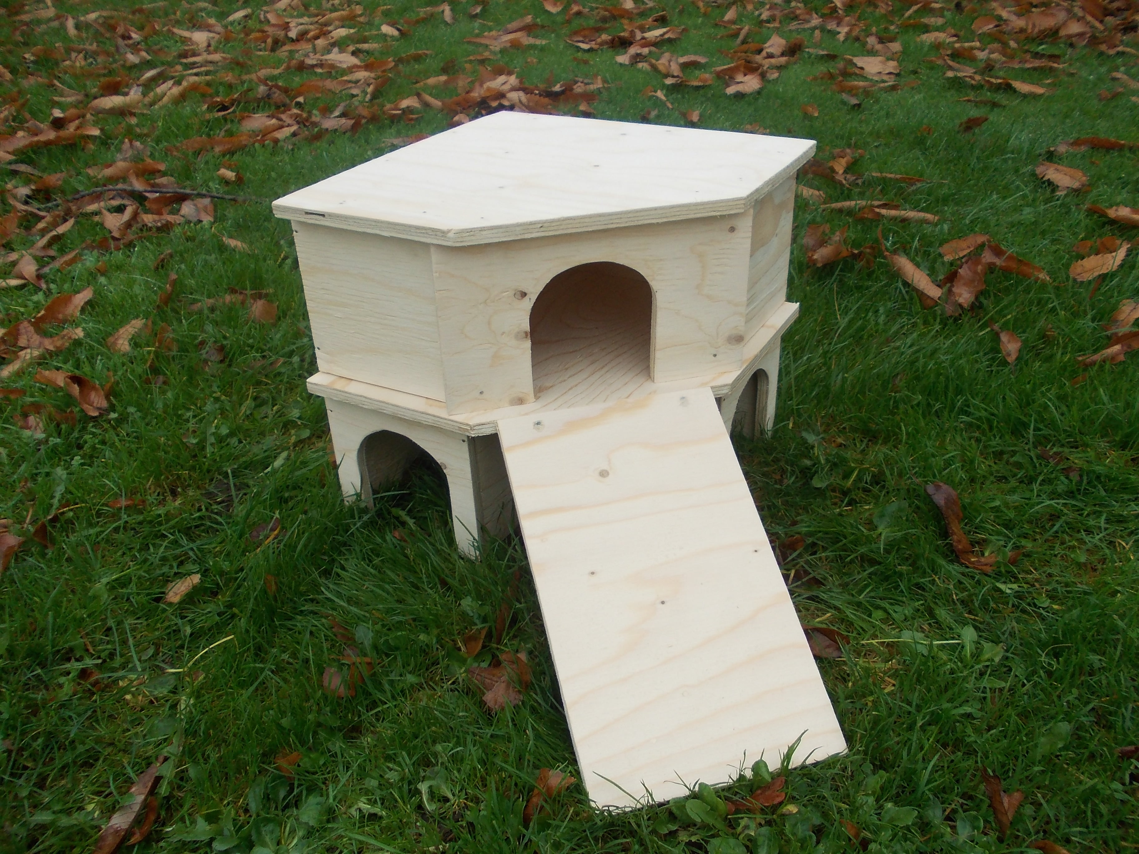 Guinea pig outlet houses for sale