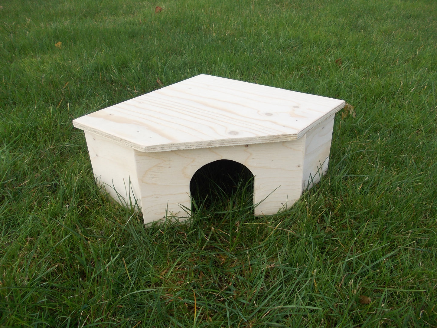 Guinea Pig House Corner.