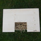 Guinea Pig House with Hay Rack BY WOODEN WORLD.
